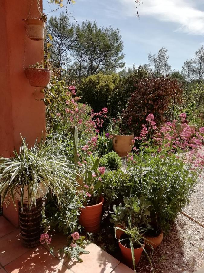 Chambre D'Hote Le Mas Des Romarins Les Arcs-sur-Argens Экстерьер фото